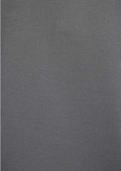 Bugs Bunny Baskılı Gri Sweatshirt 0S10102-70098