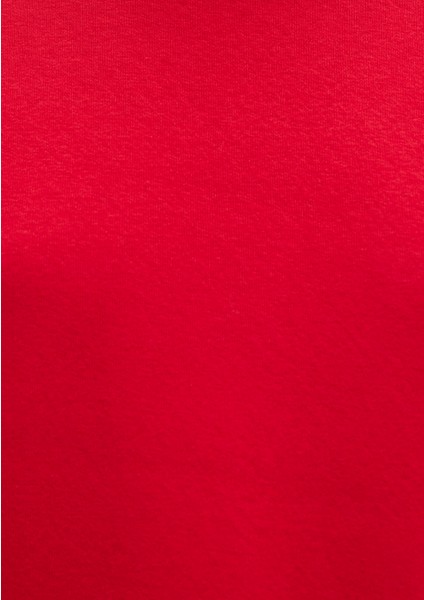 Bisiklet Yaka Kırmızı Basic Sweatshirt 1610198-80791