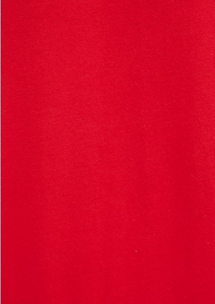 Mavi Logo Baskılı Kırmızı Tişört 066842-33099