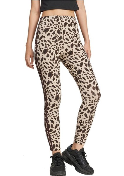 W ANML 3S LEG Kadın Tayt IX3722