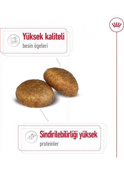 Maxi Adult Büyük Irk Yetişkin Kuru Köpek Maması 15 Kg