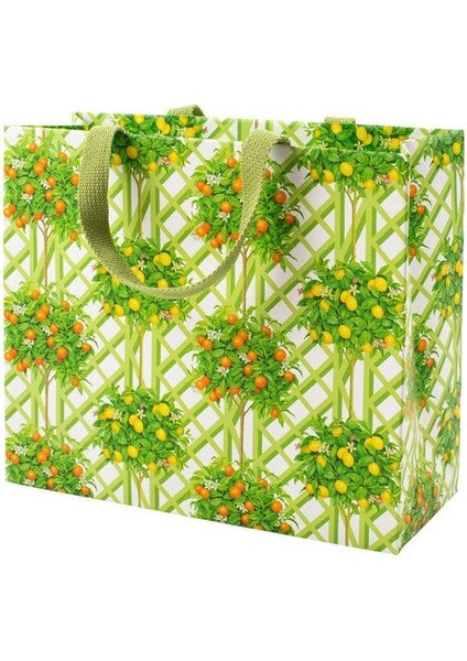 Citrus Topiaries Large Gift Bag In White - 1 Each
