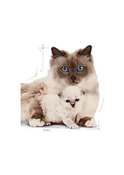 Mother&BabyCat Gebe/Laktasyondaki Anne ve Yavru Kedi için Kuru Kedi Maması 400g