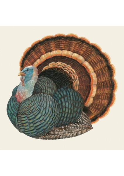 Heritage Hen Guest Napkin Pack Of 20