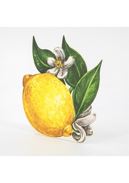 Lemon Place Card - Set Of 12