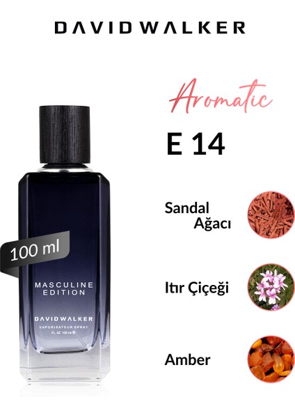 E14 Brunet 100 ml Erkek Parfüm | Aromatic
