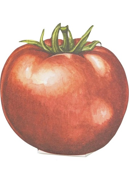 Tomato Place Card Pack Of 12
