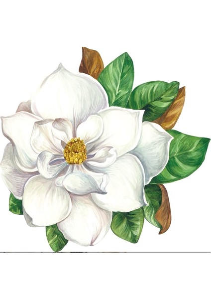 Die Cut Magnolia Placemat - 12 Sheets