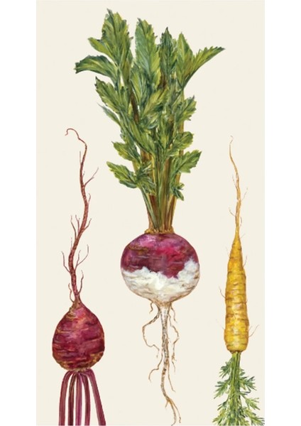 Farmers' Market Guest Napkin - Pack Of 16