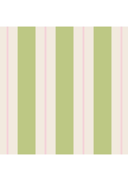 Green & Pink Awning Stripe Cocktail Napkin Pack Of 20