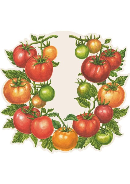 Die Cut Tomato Placemat 12 Sheets