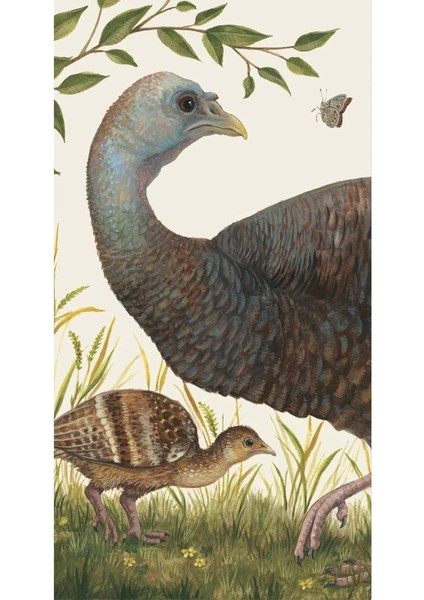 Heritage Hen Cocktail Pack Of 16