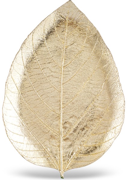 Leaf Dekoratif Tabak Gold 21X15X2,5 cm indirimleri