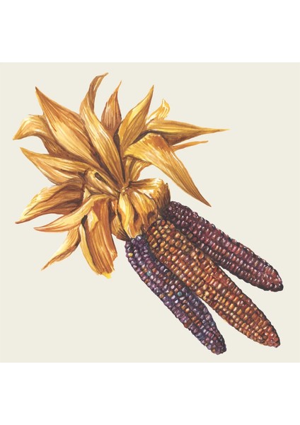 Maize Cocktail Napkin - Pack Of 20