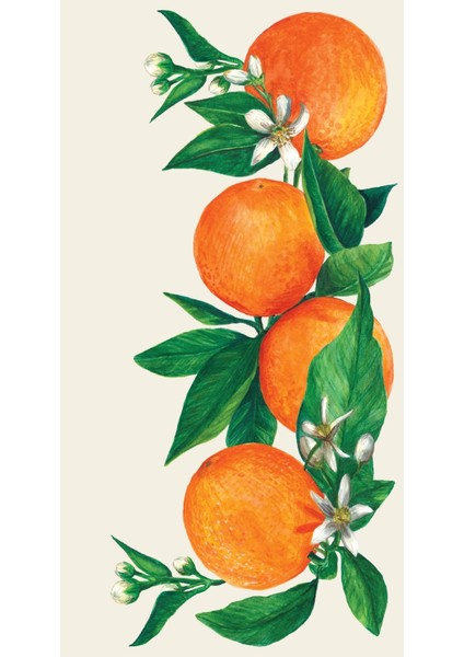 Orange Orchard Guest Napkin - Pack Of 16