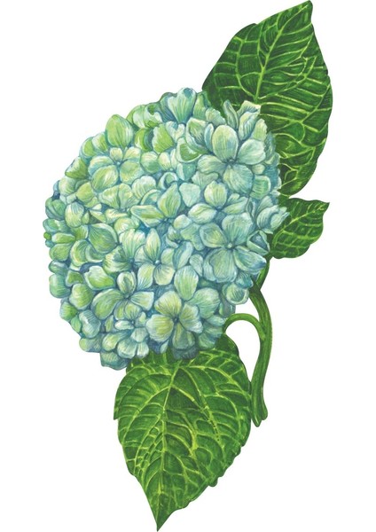 Hydrangea Table Accent