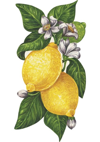 Lemon Table Accent - Set Of 12
