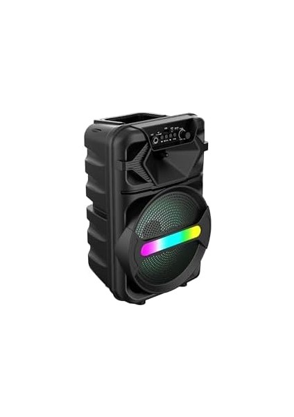 20W 2400 Mah Mikrofonlu LED Işıklı Taşınabilir Bluetooth Hoparlör BTS-410 modelleri