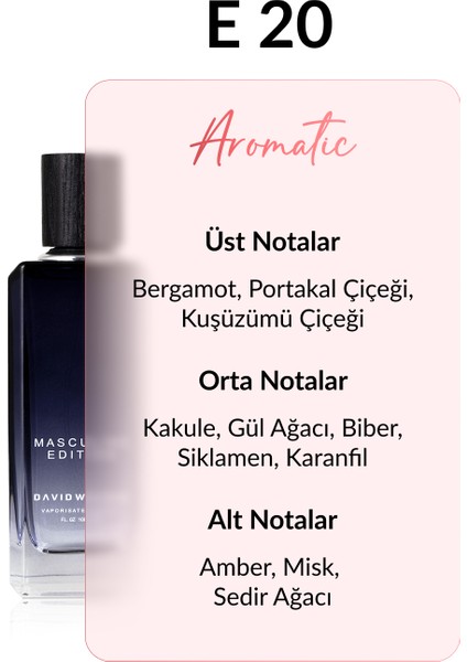E20 Herros 100 ml Erkek Parfüm | Aromatic fiyatları