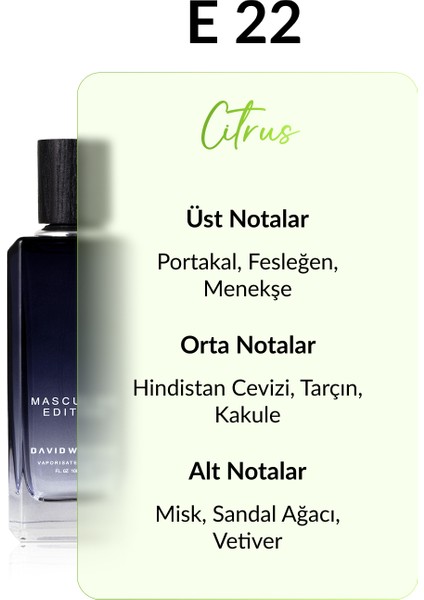 E22 Huget 100 ml Erkek Parfüm | Citrus-Meyve fiyatları