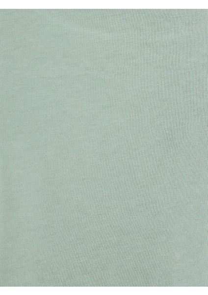 Regular Fit Kadın Tshirt K.kol