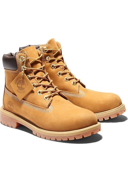 6 In Premium WP Kadın Sarı Bot indirimleri