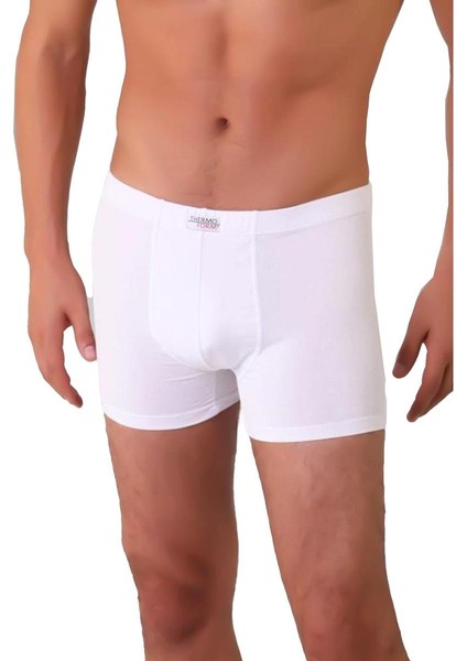 Boxer fiyatları