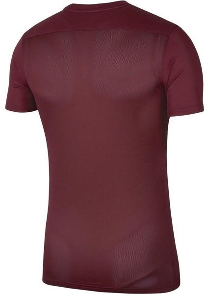 Dry Park Vıı Jsy Ss Erkek Forma BV6708-677 fiyatları