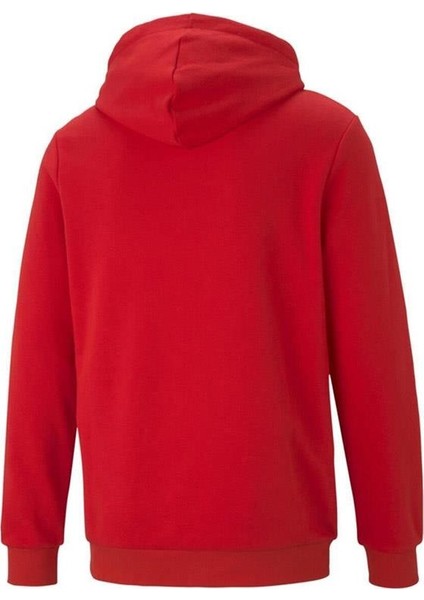 Ess Big Logo Crew Erkek Sweatshirt 58668811