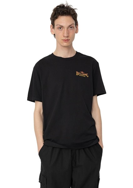 Bıllabong Dreamy Place Tees Erkek Siyah Tshirt EBYZT00170-19