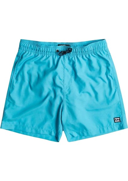 S1LB12 All Day Lastikli Normal Kalıp Düz Mavi Erkek Şort Mayo modelleri