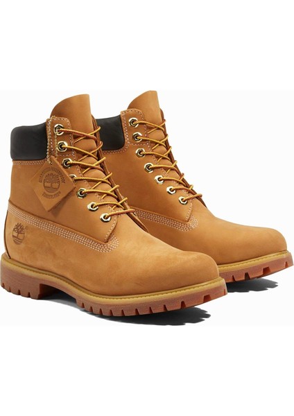 TB110061 Premium 6 Inch Lace Up Waterproof Erkek Bot