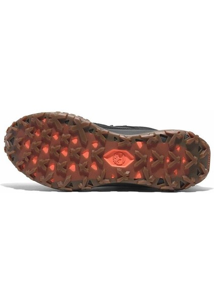 Siyah Erkek Outdoor Ayakkabısı TB0A6D9HEK91_MOTION Access Low Lace