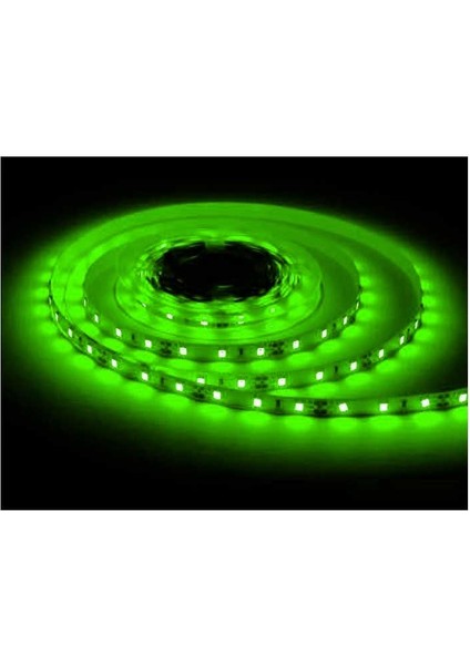 CT-4484 yeşil renk Şerit LED 5 mt 12 Volt 3750 Lm