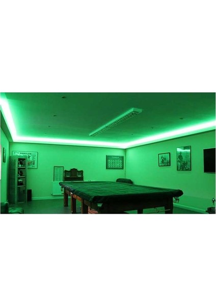 CT-4484 yeşil renk Şerit LED 5 mt 12 Volt 3750 Lm modelleri