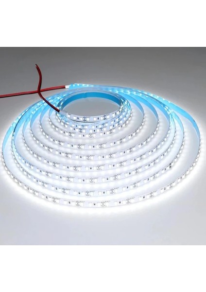CT-4480 beyaz renk Şerit LED 5 mt 12 Volt 3750 Lm
