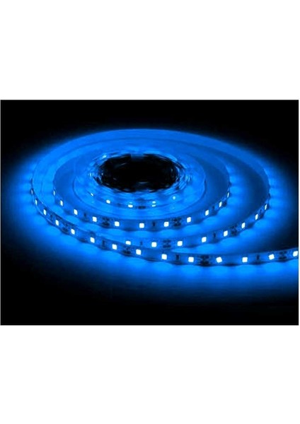 CT-4480 mavi renk Şerit LED 5 mt 12 Volt 3750 Lm