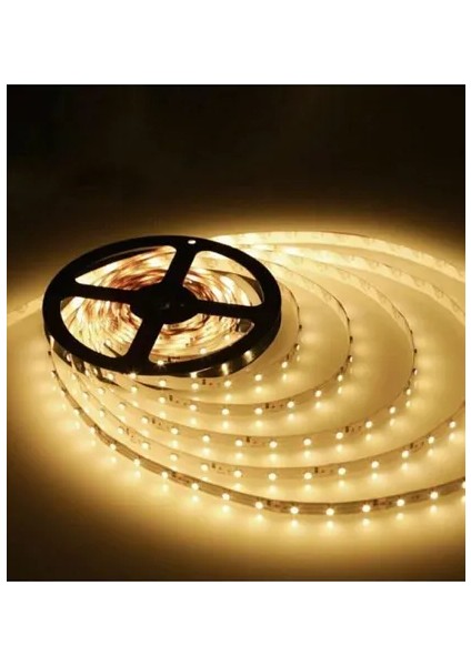 CT-4481 gün ışığı Şerit LED 5 mt 12 Volt 3750 Lm