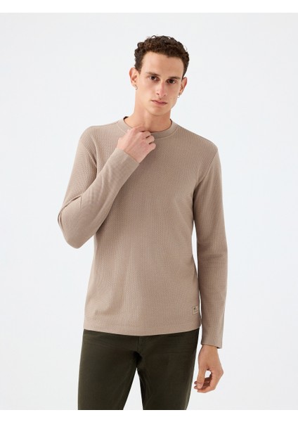 Regular Fit Erkek Tshirt U.kol