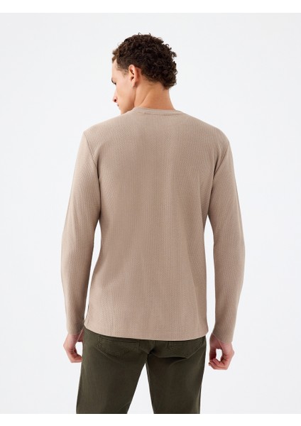 Regular Fit Erkek Tshirt U.kol modelleri