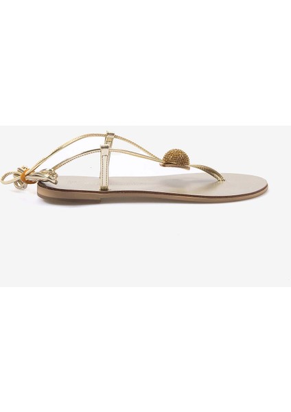 Nıcolas Laınas Kadın Sandalet 294GM