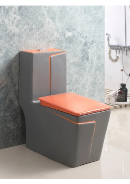 Duvara Sıfır Arkadan Çıkışlı Çift Rezervuarlı Klozet