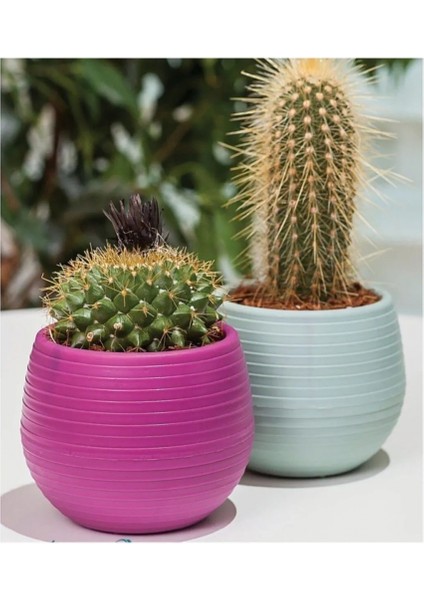 Bitki ve Kaktüs Saksısı 0,13 Lt 1 No -ES01