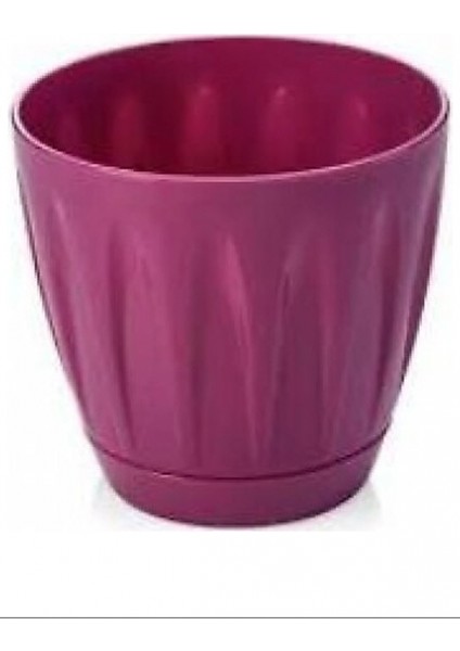 Papatya Saksı 4 Litre -P004