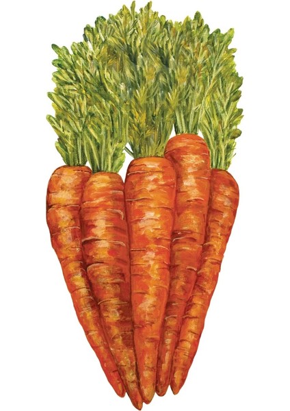Carrots Table Accent - Pack Of 12