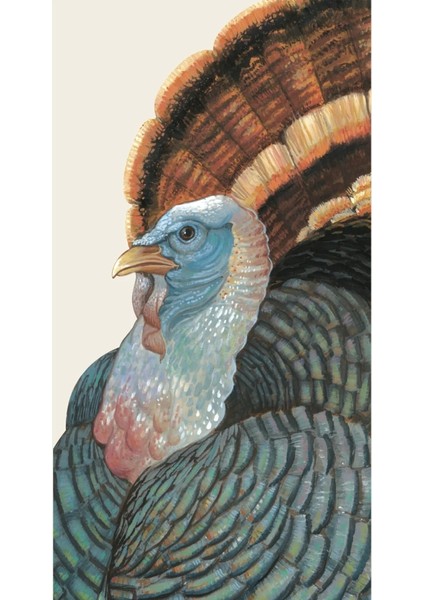 Heritage Turkey Guest Napkin Pack Of 16