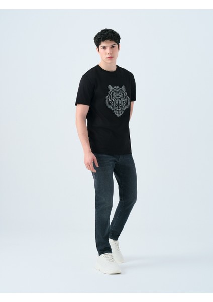 Regular Fit Erkek Tshirt K.kol