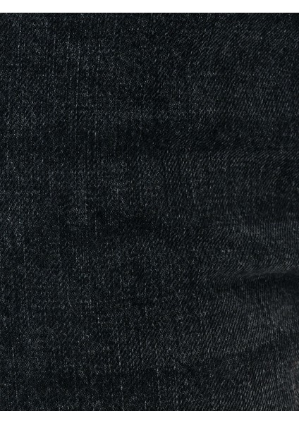 Regular Fit Kadın Şort