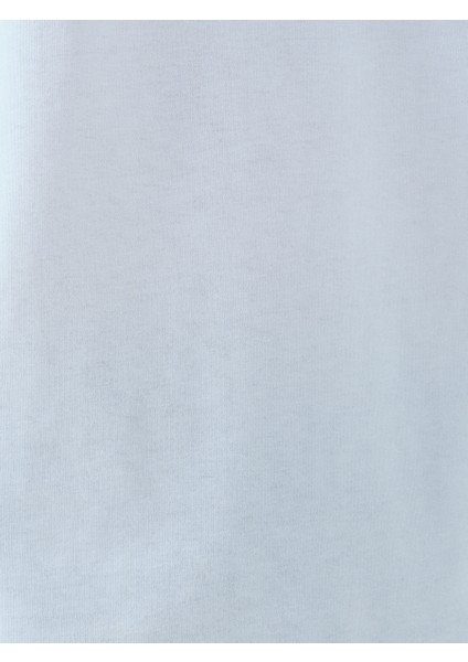 Regular Fit Erkek Tshirt K.kol