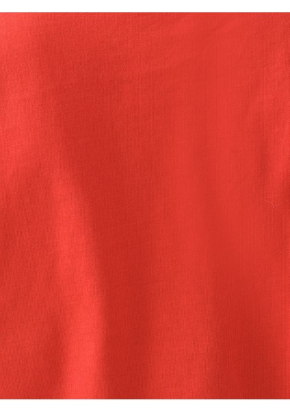 Regular Fit Kadın Tshirt K.kol